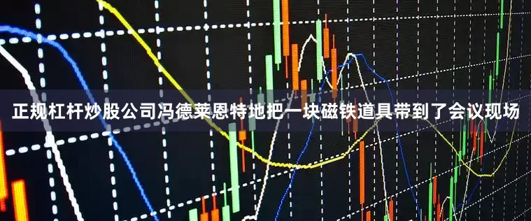正规杠杆炒股公司冯德莱恩特地把一块磁铁道具带到了会议现场