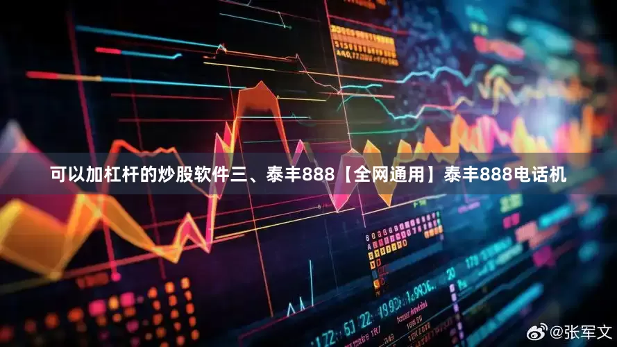 可以加杠杆的炒股软件三、泰丰888【全网通用】泰丰888电话机