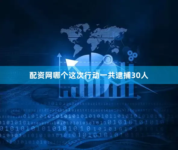 配资网哪个这次行动一共逮捕30人